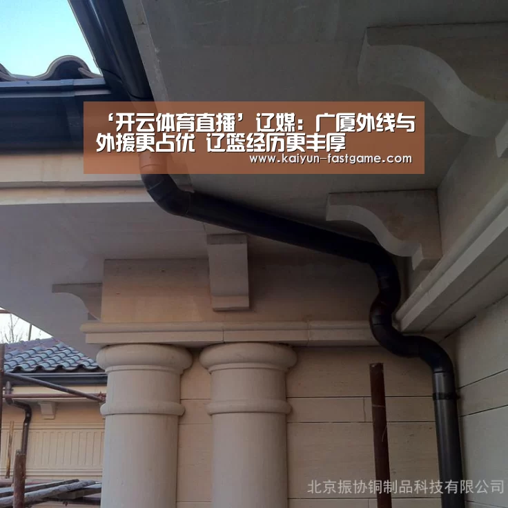 ‘开云体育直播’辽媒:广厦外线与外援更占优 辽篮经历更丰厚(图2) 开云体育直播