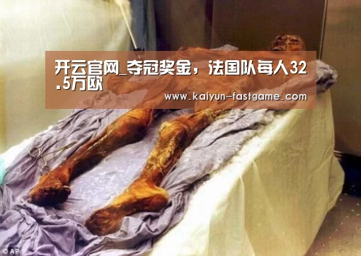 开云体育直播