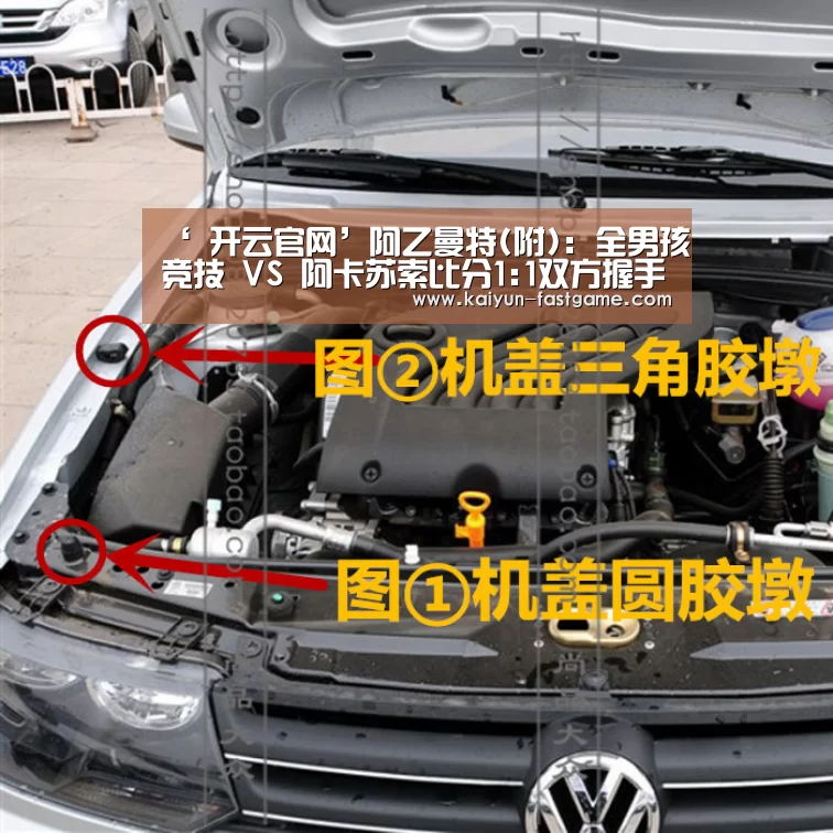 开云体育直播